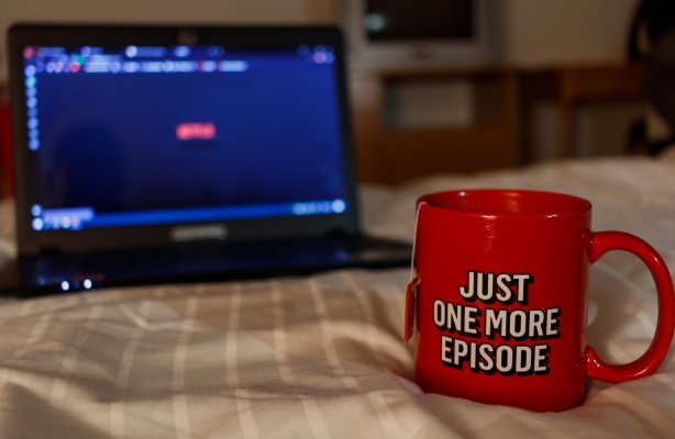 vpn services Netflix streaming watching netflix on laptop streaming red just one more episode mug 